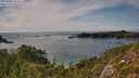 ./images/calvert/foggy-cove/20250804/foggy-cove20250804_163505M.jpg
