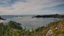./images/calvert/foggy-cove/20250804/foggy-cove20250804_165008M.jpg