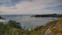 ./images/calvert/foggy-cove/20250804/foggy-cove20250804_165509M.jpg
