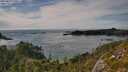 ./images/calvert/foggy-cove/20250804/foggy-cove20250804_170011M.jpg