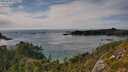 ./images/calvert/foggy-cove/20250804/foggy-cove20250804_170507M.jpg