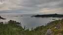 ./images/calvert/foggy-cove/20250804/foggy-cove20250804_181510M.jpg