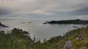 ./images/calvert/foggy-cove/20250804/foggy-cove20250804_185011M.jpg
