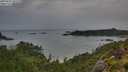./images/calvert/foggy-cove/20250805/foggy-cove20250805_071509M.jpg