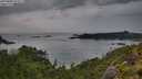 ./images/calvert/foggy-cove/20250805/foggy-cove20250805_072508M.jpg