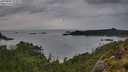 ./images/calvert/foggy-cove/20250805/foggy-cove20250805_073009M.jpg