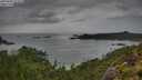 ./images/calvert/foggy-cove/20250805/foggy-cove20250805_073509M.jpg