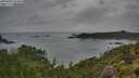 ./images/calvert/foggy-cove/20250805/foggy-cove20250805_074010M.jpg