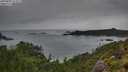 ./images/calvert/foggy-cove/20250805/foggy-cove20250805_075009M.jpg