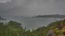 ./images/calvert/foggy-cove/20250805/foggy-cove20250805_080009M.jpg