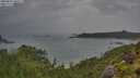 ./images/calvert/foggy-cove/20250805/foggy-cove20250805_080508M.jpg