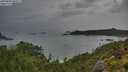 ./images/calvert/foggy-cove/20250805/foggy-cove20250805_081009M.jpg
