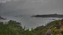 ./images/calvert/foggy-cove/20250805/foggy-cove20250805_081510M.jpg