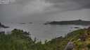 ./images/calvert/foggy-cove/20250805/foggy-cove20250805_082008M.jpg