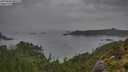 ./images/calvert/foggy-cove/20250805/foggy-cove20250805_082510M.jpg