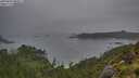 ./images/calvert/foggy-cove/20250805/foggy-cove20250805_083011M.jpg