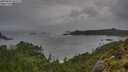 ./images/calvert/foggy-cove/20250805/foggy-cove20250805_084510M.jpg