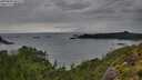 ./images/calvert/foggy-cove/20250805/foggy-cove20250805_090509M.jpg