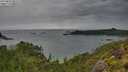 ./images/calvert/foggy-cove/20250805/foggy-cove20250805_091009M.jpg