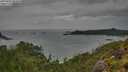 ./images/calvert/foggy-cove/20250805/foggy-cove20250805_092010M.jpg