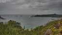 ./images/calvert/foggy-cove/20250805/foggy-cove20250805_092510M.jpg
