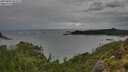 ./images/calvert/foggy-cove/20250805/foggy-cove20250805_094509M.jpg