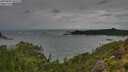 ./images/calvert/foggy-cove/20250805/foggy-cove20250805_095508M.jpg