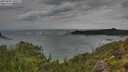 ./images/calvert/foggy-cove/20250805/foggy-cove20250805_100509M.jpg