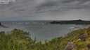 ./images/calvert/foggy-cove/20250805/foggy-cove20250805_101011M.jpg