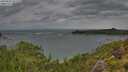 ./images/calvert/foggy-cove/20250805/foggy-cove20250805_101510M.jpg