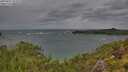 ./images/calvert/foggy-cove/20250805/foggy-cove20250805_102010M.jpg