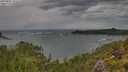 ./images/calvert/foggy-cove/20250805/foggy-cove20250805_103506M.jpg
