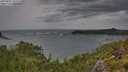 ./images/calvert/foggy-cove/20250805/foggy-cove20250805_105510M.jpg