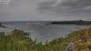 ./images/calvert/foggy-cove/20250805/foggy-cove20250805_110508M.jpg