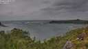 ./images/calvert/foggy-cove/20250805/foggy-cove20250805_111011M.jpg