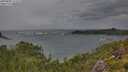 ./images/calvert/foggy-cove/20250805/foggy-cove20250805_111511M.jpg