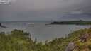 ./images/calvert/foggy-cove/20250805/foggy-cove20250805_123510M.jpg