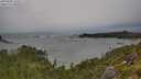 ./images/calvert/foggy-cove/20250805/foggy-cove20250805_135507M.jpg