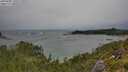 ./images/calvert/foggy-cove/20250805/foggy-cove20250805_140509M.jpg