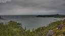 ./images/calvert/foggy-cove/20250805/foggy-cove20250805_145509M.jpg