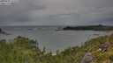 ./images/calvert/foggy-cove/20250805/foggy-cove20250805_151510M.jpg