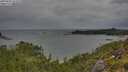 ./images/calvert/foggy-cove/20250805/foggy-cove20250805_152510M.jpg