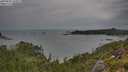 ./images/calvert/foggy-cove/20250805/foggy-cove20250805_154011M.jpg