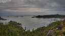 ./images/calvert/foggy-cove/20250806/foggy-cove20250806_075011M.jpg