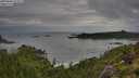 ./images/calvert/foggy-cove/20250806/foggy-cove20250806_075510M.jpg