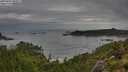 ./images/calvert/foggy-cove/20250806/foggy-cove20250806_080011M.jpg