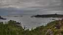 ./images/calvert/foggy-cove/20250806/foggy-cove20250806_080511M.jpg