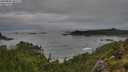 ./images/calvert/foggy-cove/20250806/foggy-cove20250806_081510M.jpg