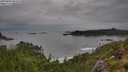 ./images/calvert/foggy-cove/20250806/foggy-cove20250806_082510M.jpg