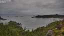 ./images/calvert/foggy-cove/20250806/foggy-cove20250806_083012M.jpg